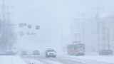 Жители Свердловской области остались без электричества из-за мощного снегопада